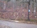 Deer 1-30-05 011.jpg