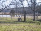 Pond with geese.jpg