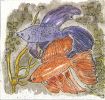 scan0009.jpg