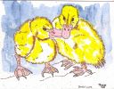 OrigDucksSm.jpg