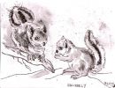 Squirrely.jpg