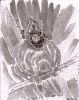 scan0004~1.jpg