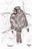 scan0005~2.jpg