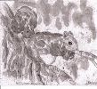 scan0006~0.jpg