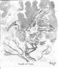 scan0007~0.jpg