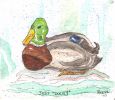 scan0007.jpg