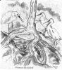 scan0010~1.jpg