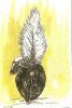 scan0012.jpg