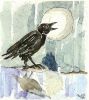 scan0013.jpg