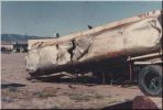 Filename=MyWreck1.jpg
Filesize=31KB
Dimensions=500x336
Date added=Dec 02, 2004 MyWreck1.jpg