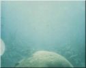 Scuba36.jpg