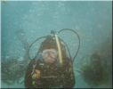 Filename=Scuba4.jpg
Filesize=23KB
Dimensions=434x341
Date added=Dec 03, 2004 Scuba4.jpg