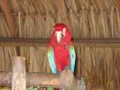 IMG_0030.jpg