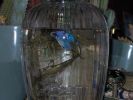 fish003.jpg