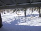 Winter 04 042.jpg