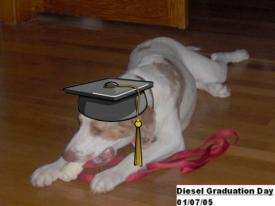 zdiesel-graduate